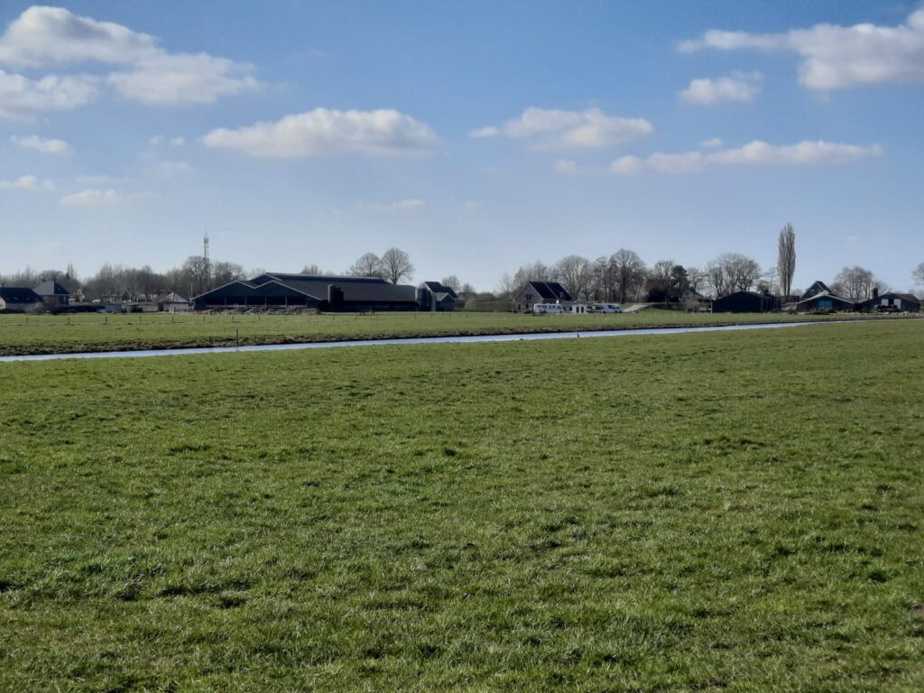 Maart roert zijn staart Foto's Scouts Prins Boudewijn Wetteren